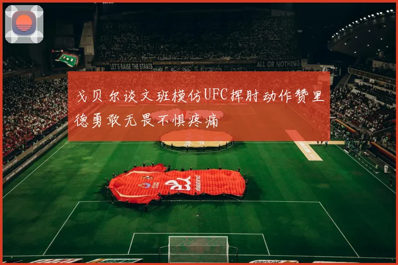 戈贝尔谈文班模仿UFC挥肘动作赞里德勇敢无畏不惧疼痛
