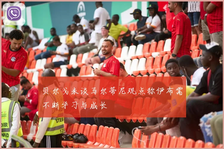 贝尔戈米谈马尔蒂尼观点称伊布需不断学习与成长