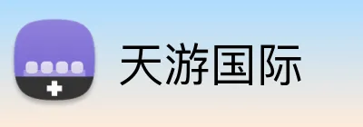 天游国际 logo